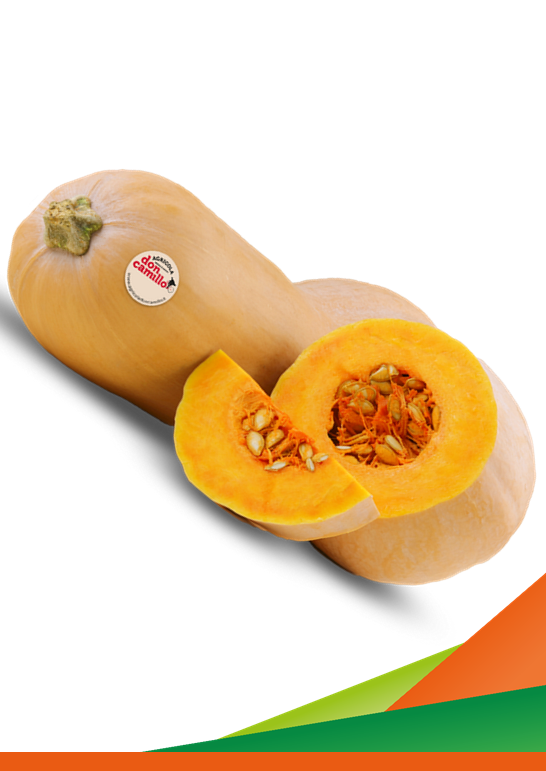 Convegno finale "Valutazione di strategie agronomiche, di post raccolta e di packaging per migliorare i parametri qualitativi e la conservabilità delle zucche Butternut e Kabocha"