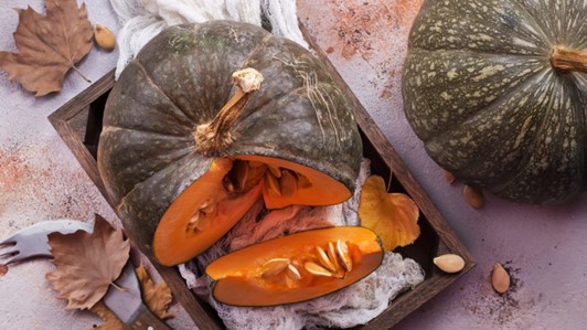 Miglioramento delle zucche in Emilia-Romagna  -  OCM 031 ZUCCA COSTEA