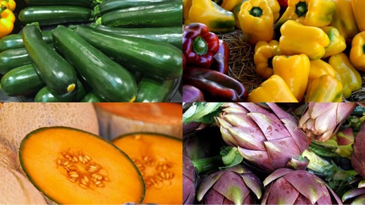 Resilienza produzioni agricole Sicilia - INNOVA ITALIA (Sottoprogetto 4) OCM023