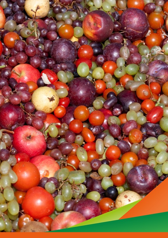 Primi risultati del progetto “Produzione di ingredienti ad alto valore aggiunto dai sottoprodotti della filiera della frutta attraverso un approccio di bio-raffineria a cascata – FRUREFINERY”