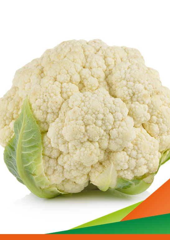 Visita guidata alle prove sperimentali di cavolfiore bianco e broccolo sprouting 2025 - Ocm "Ricerca VIVA", Sotto-progetto n. 2